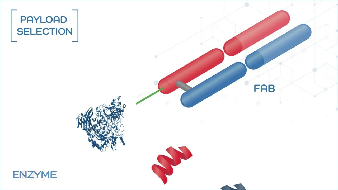The FORCE™ Platform | Dyne Therapeutics